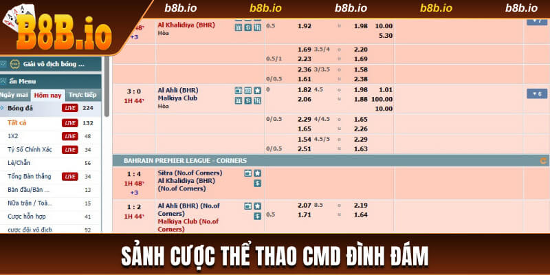 CMD Sports - Sảnh cược thể thao B8b đình đám