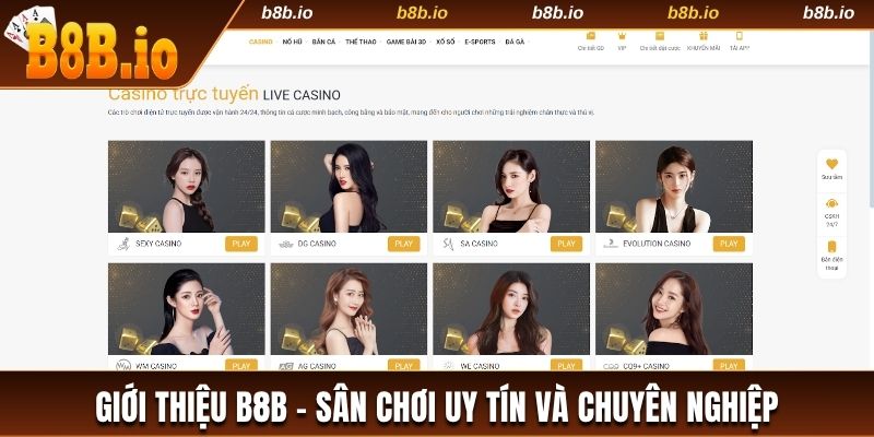 Giới thiệu B8b - Sân chơi uy tín và chuyên nghiệp