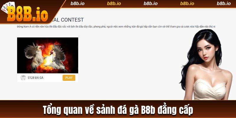 Tổng quan sảnh đá gà B8b đẳng cấp